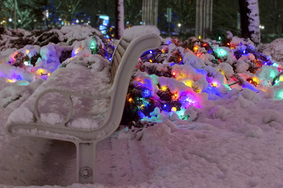 Lights in the snow Lights in the snow