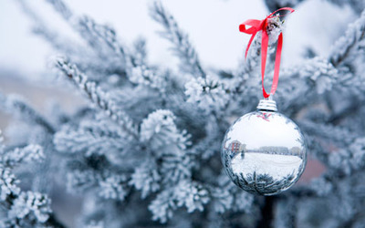 Silver ornament Silver ornament