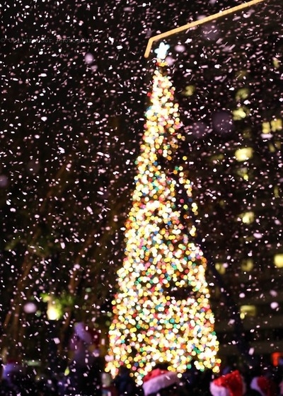 Bright Christmas Tree Bright Christmas Tree