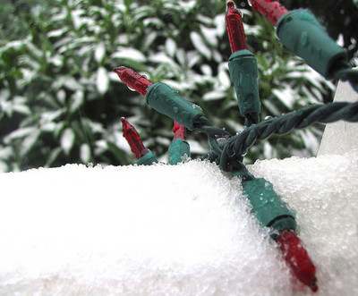 Christmas lights in the snow