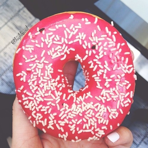 Sprinkled Donut Sprinkled Donut