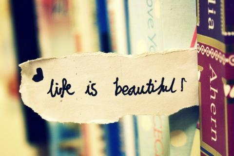 Life is beautiful Life is beautiful