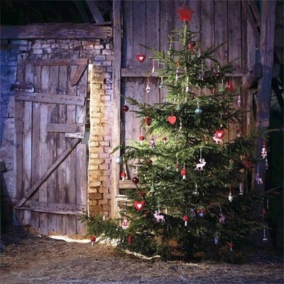Outdoor tree