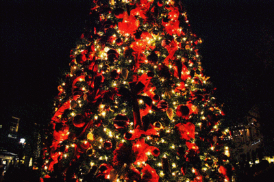 The Beauty of Christmas