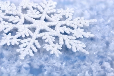 White snowflake White snowflake