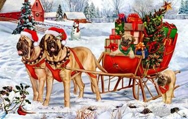 Dog Sleigh