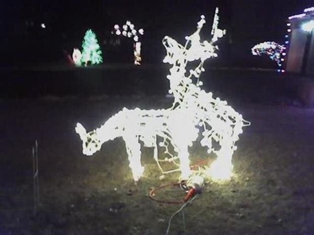 Humping reindeer lights Humping reindeer lights