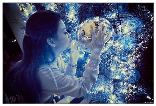 Iced Crystal Christmas Dream