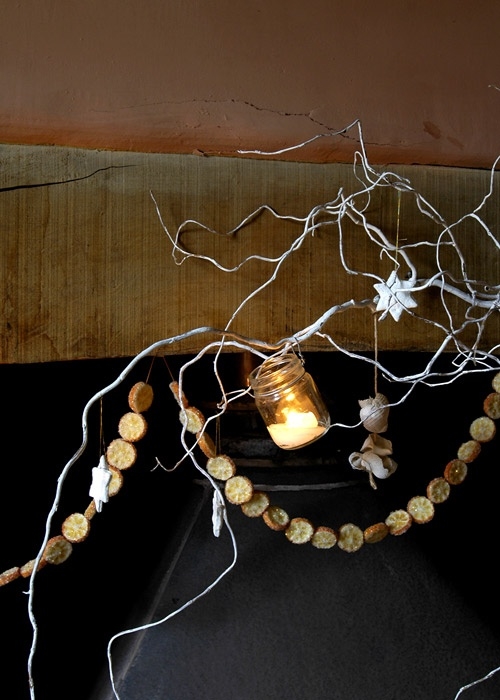 Citrus fruit garland