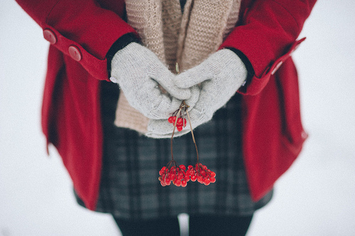 Holly berry