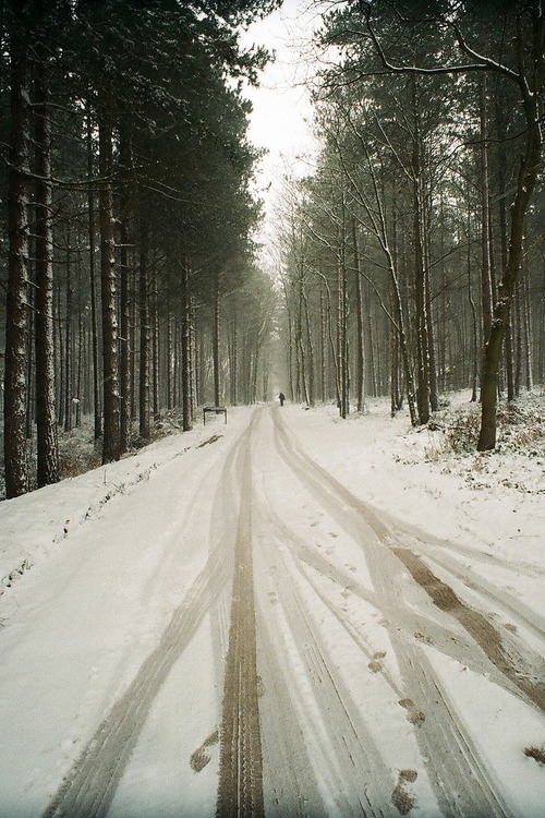 Path through snow