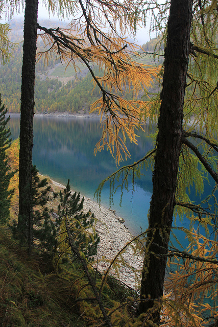 Crystal clear lake Crystal clear lake