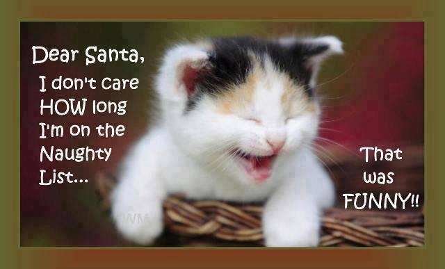 Dear Santa Dear Santa