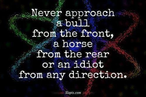 an idiot