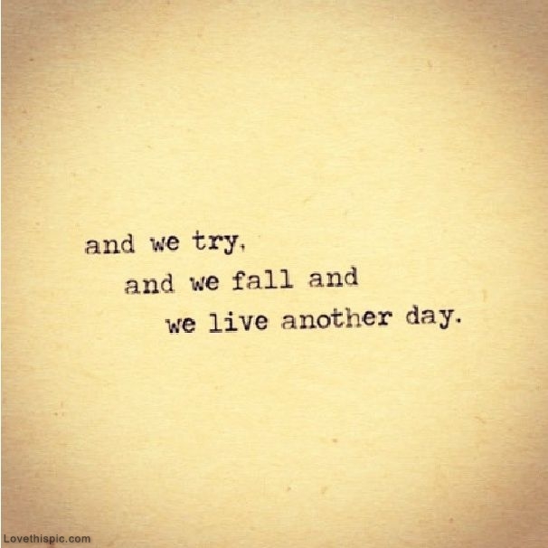 We Try We Fall We Try We Fall