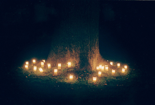 Lights under the tree Lights under the tree