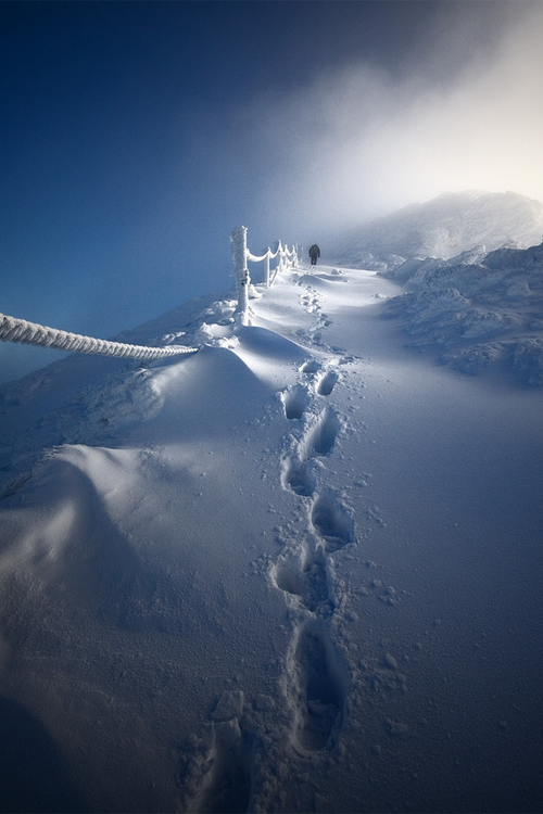 Snow prints Snow prints