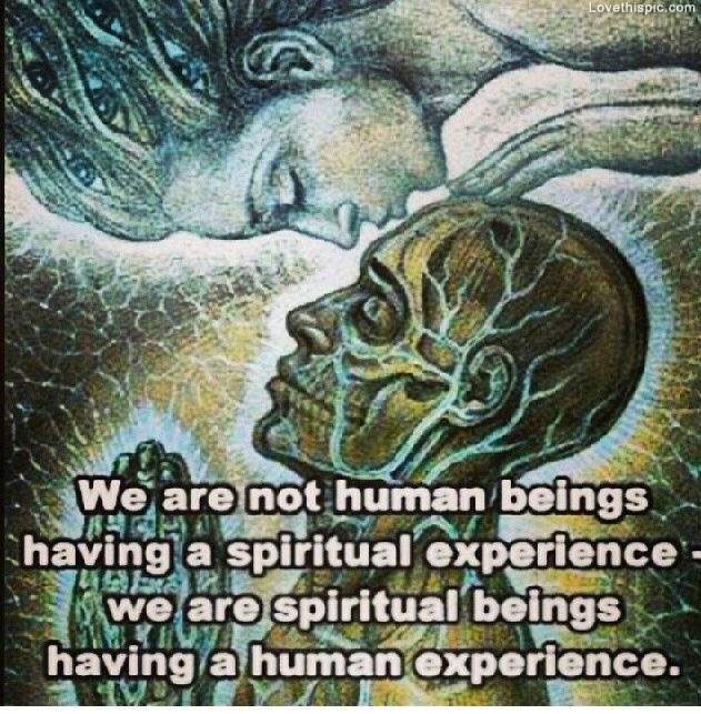We Are Not Human Beings