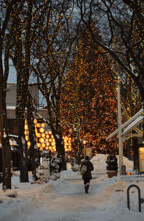 Walking through Christmas lights