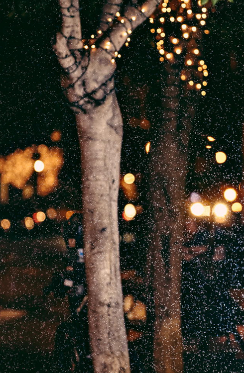 Snowfall and lights