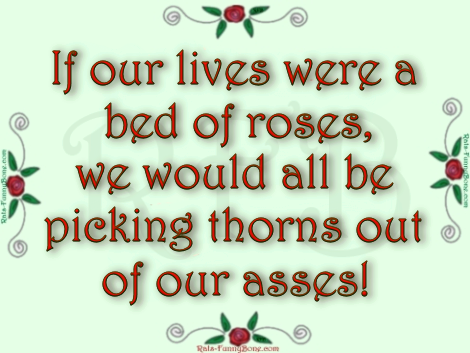 a bed of roses a bed of roses