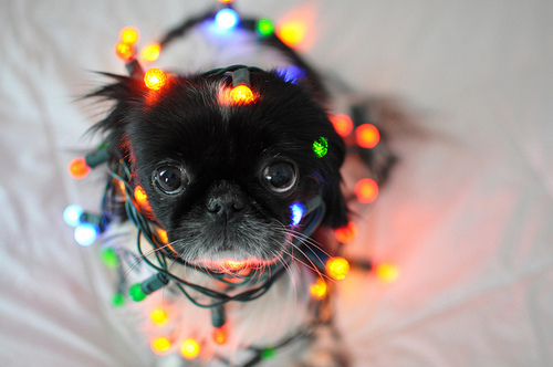 Cute little decoration.... Cute little decoration....