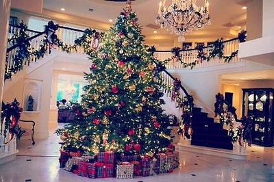 Beautiful Tree Beautiful Tree