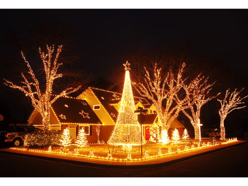 Pretty Christmas Lights