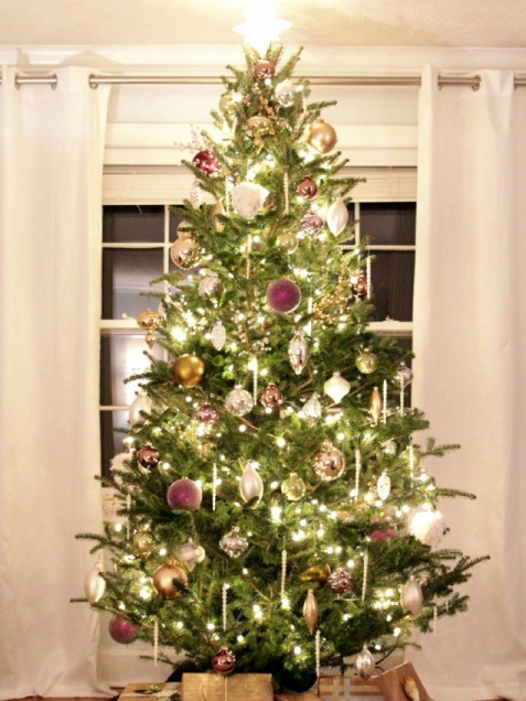 Lime plum and white tree