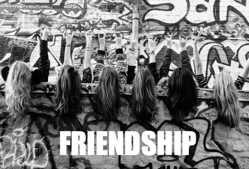 Friendship