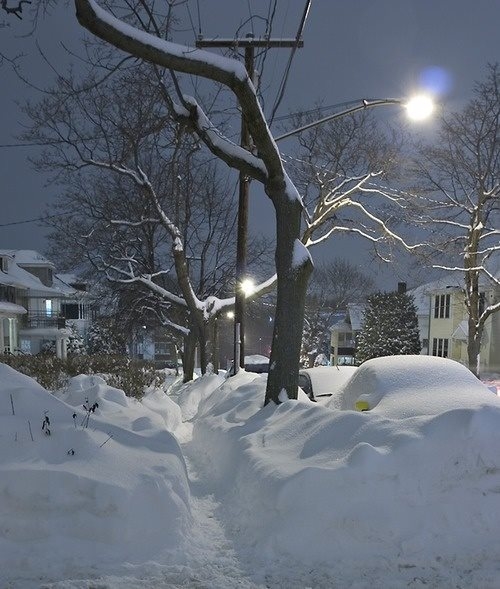 Winter - Boston, Massachusettes Winter - Boston, Massachusettes