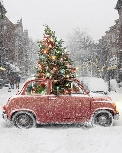 An odd Christmas sight