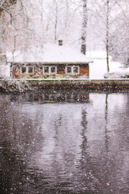 Snowing at the lake