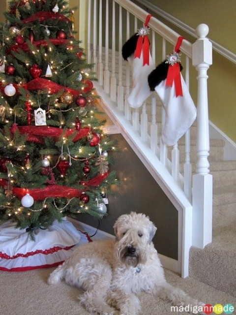 Stockings on the stairs