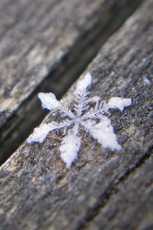 Snowflake Snowflake