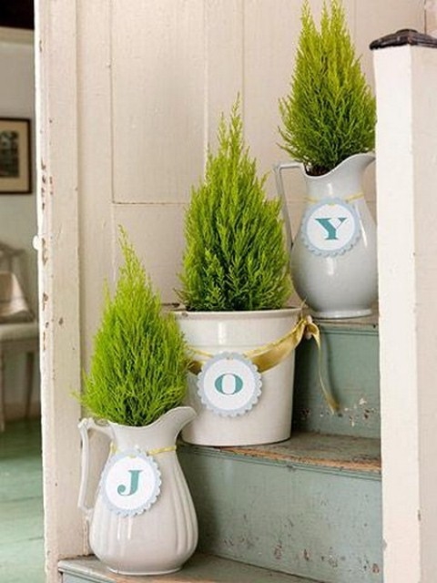 Joy Plants