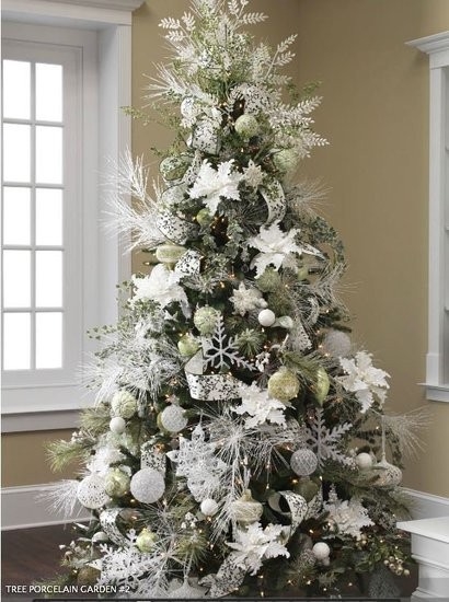 Winter evergreen tree Winter evergreen tree