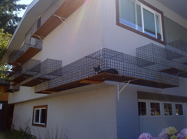 House catwalk