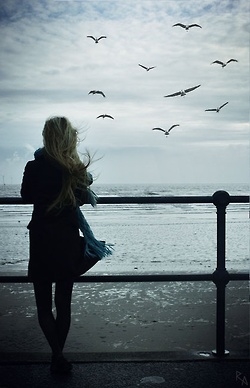 Bird watching
