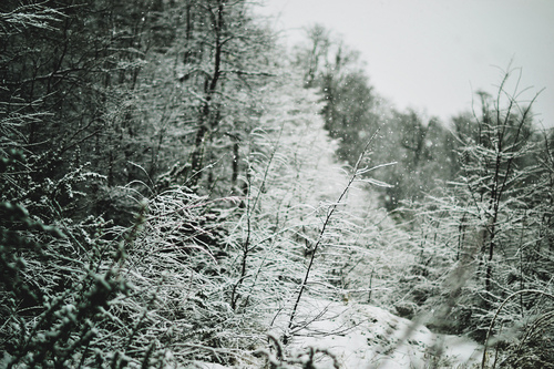 Snow covered Snow covered