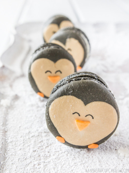 Penguin cookies