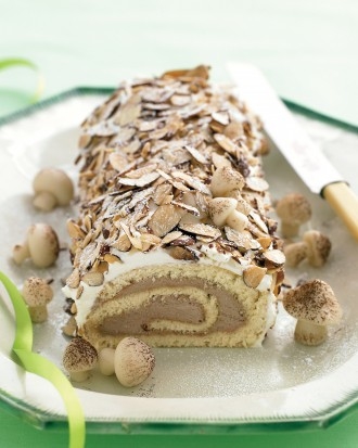 Chocolate and nut yule log Chocolate and nut yule log