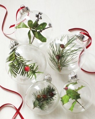 Nature ornaments Nature ornaments