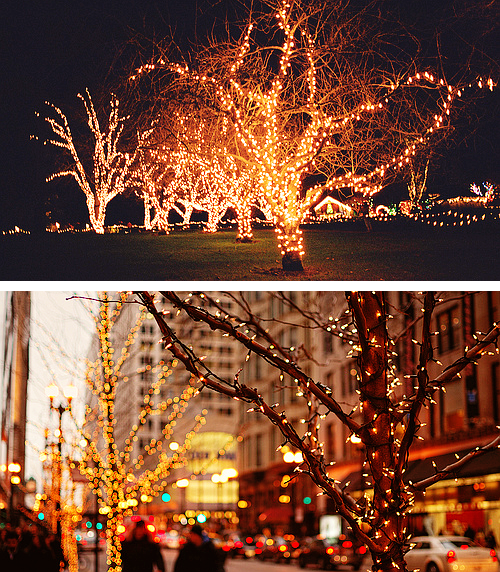 Outdoor tree lights