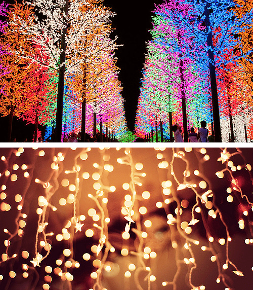 Beautiful colorful tree lights Beautiful colorful tree lights