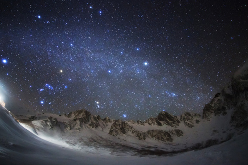 Christmas stars