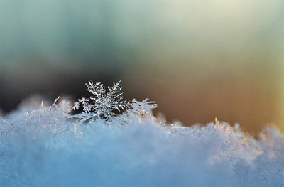 Cute Snowflake Cute Snowflake