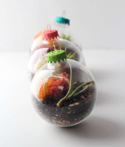 Terrarium ornaments