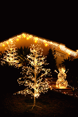 Animated Gold Lights 