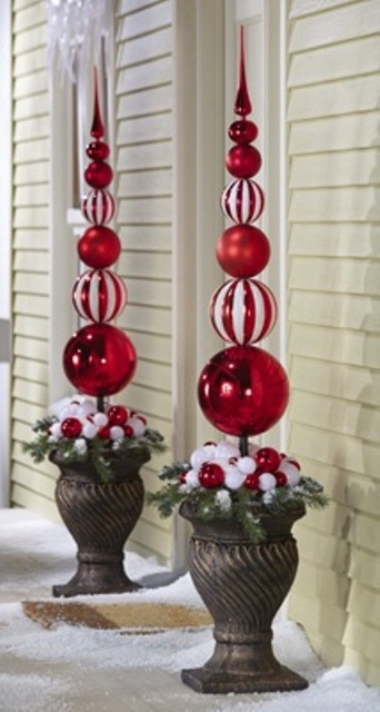 Peppermint red plant display Peppermint red plant display